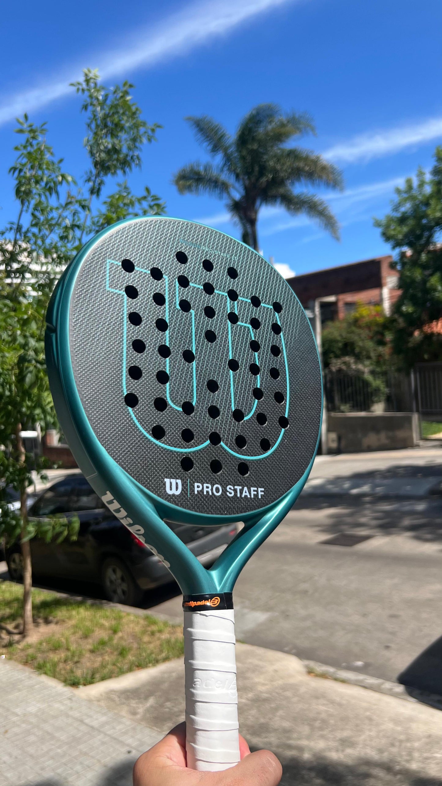 Paleta Wilson Pro Staff LT V2