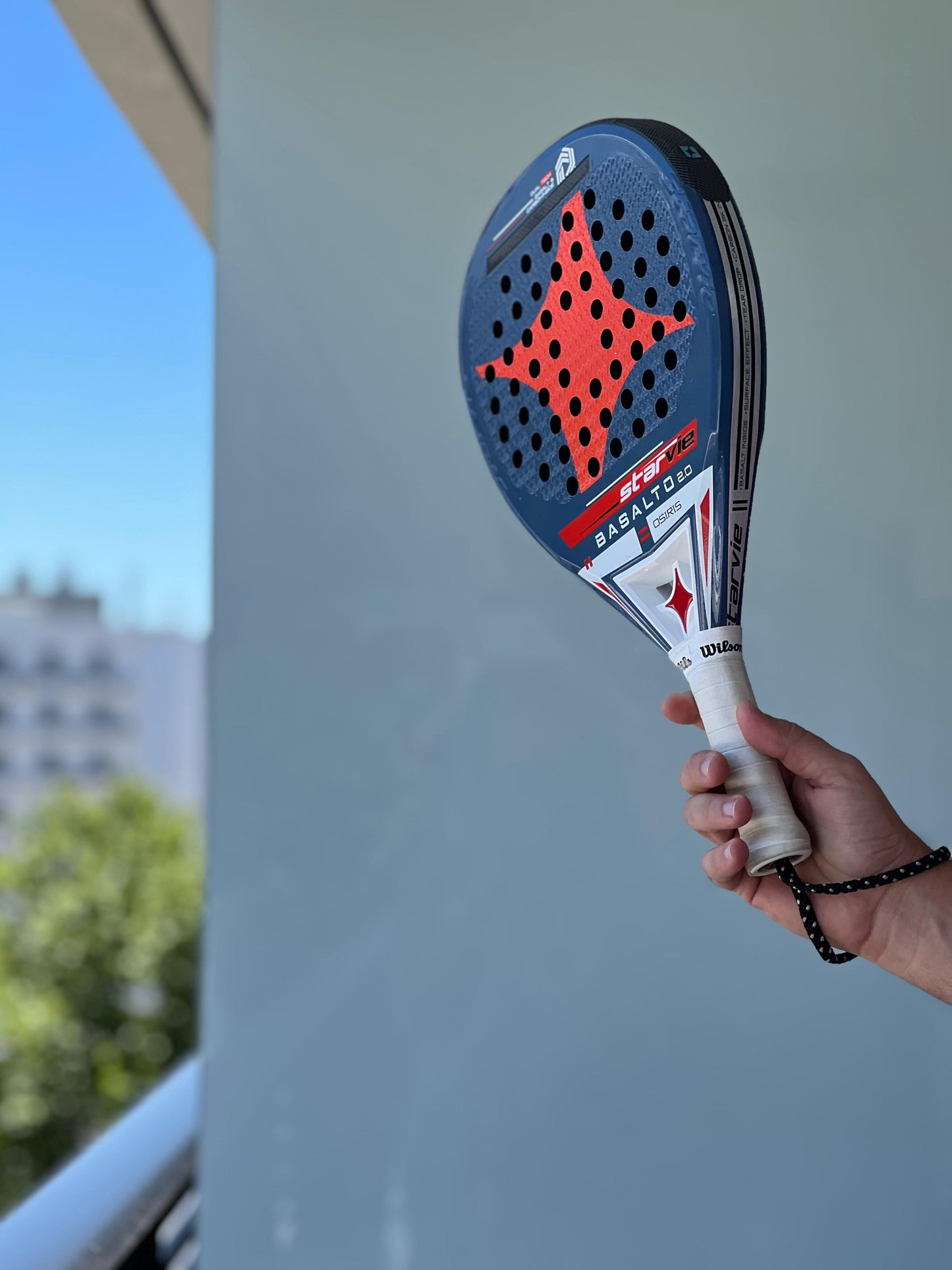 Paleta Starvie Basalto Osiris Coki Nieto