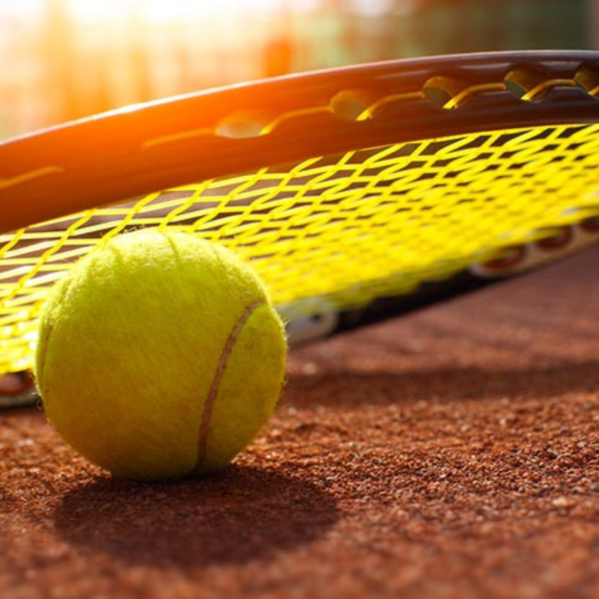 Tubo Pelotas Wilson Tour Clay Tenis