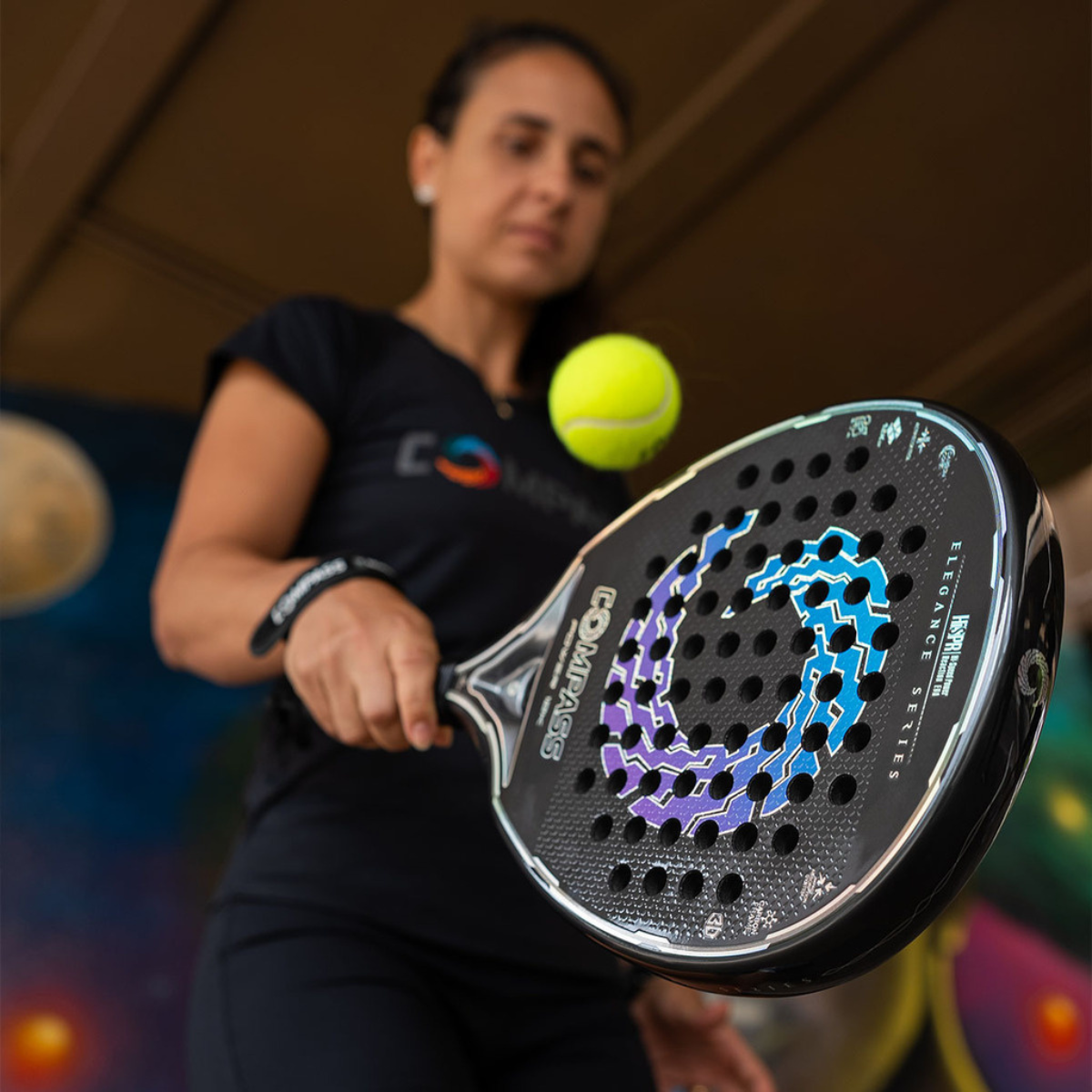 Paleta Compass Power 12K