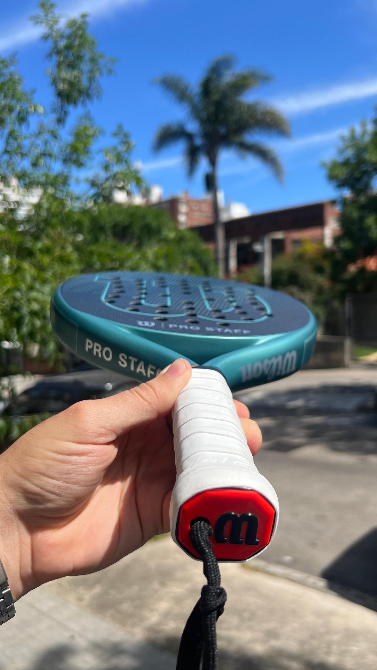 Paleta Wilson Pro Staff LT V2